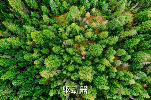 驱动器