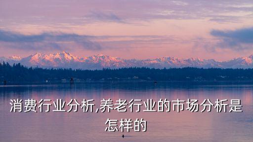 社区消费行业分析,养老行业的市场分析是怎样的?