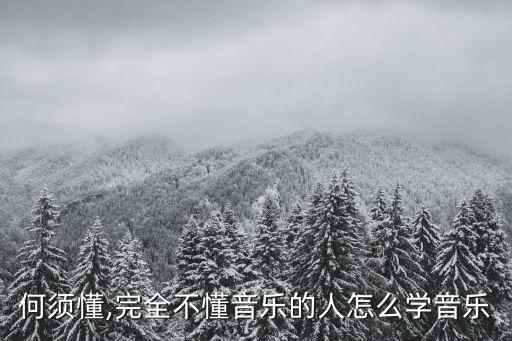 何须懂,完全不懂音乐的人怎么学音乐