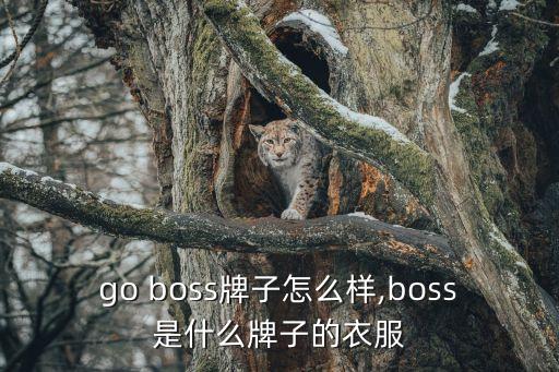 hugo boss牌子怎么样,boss是什么牌子的衣服?