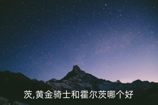 霍尔茨,黄金骑士和霍尔茨哪个好?