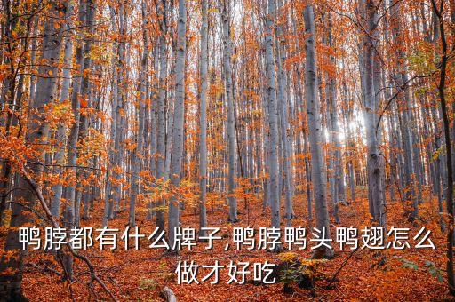 鸭头鸭脖都有什么牌子,鸭脖鸭头鸭翅怎么做才好吃?