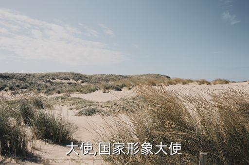 大使,国家形象大使