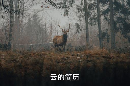 张惠云的简历
