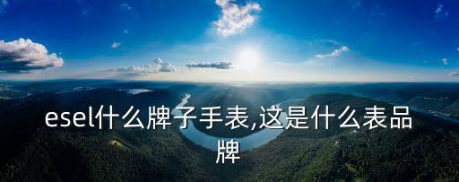 diesel什么牌子手表,这是什么表?品牌?