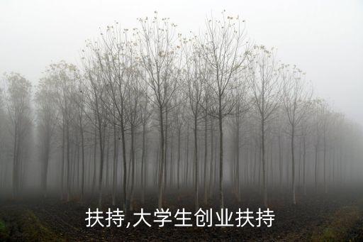 扶持,大学生创业扶持