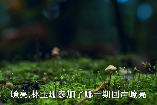 嘹亮,林玉珊参加了哪一期回声嘹亮