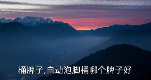 桶牌子,自动泡脚桶哪个牌子好