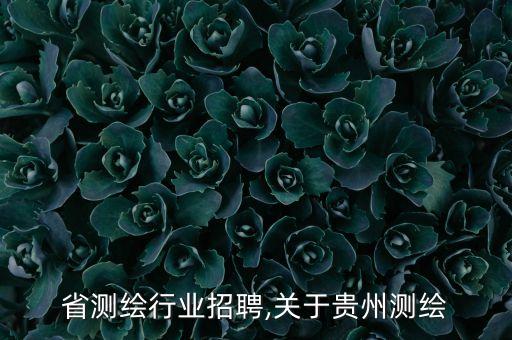 贵州省测绘行业招聘,关于贵州测绘