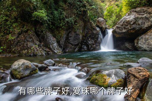艾灸有哪些牌子好,爱珠哪个牌子好?