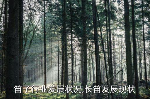 笛子行业发展状况,长笛发展现状