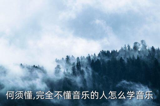音乐何须懂,完全不懂音乐的人怎么学音乐?