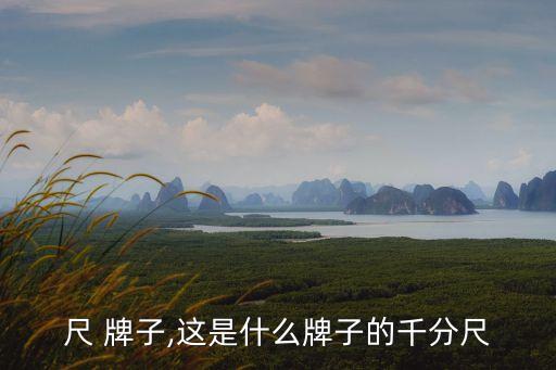 千分尺 牌子,这是什么牌子的千分尺?