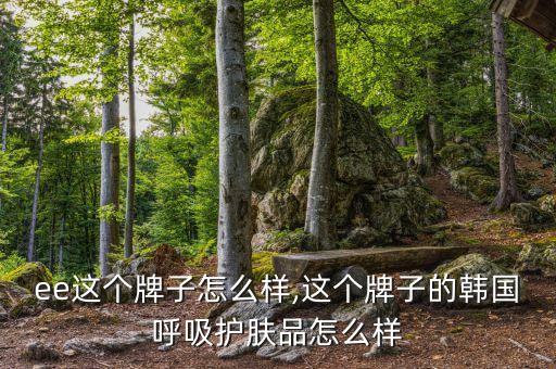 suee这个牌子怎么样,这个牌子的韩国呼吸护肤品怎么样?