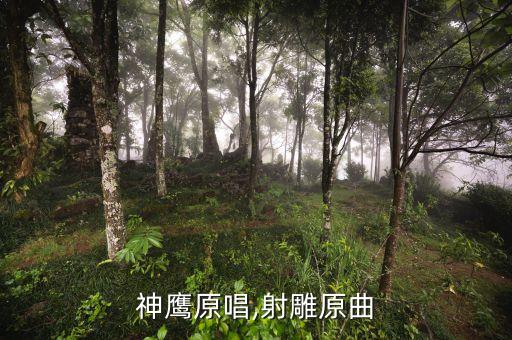 向往神鹰原唱,射雕原曲