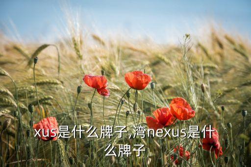 xus是什么牌子,湾nexus是什么牌子