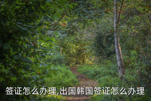 签证怎么办理,出国韩国签证怎么办理