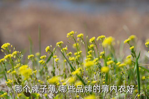哪个牌子薄,哪些品牌的薄内衣好