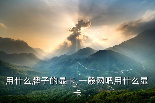 网吧用什么牌子的显卡,一般网吧用什么显卡?