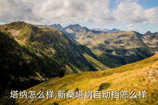 新桑塔纳怎么样,新桑塔纳自动挡怎么样?