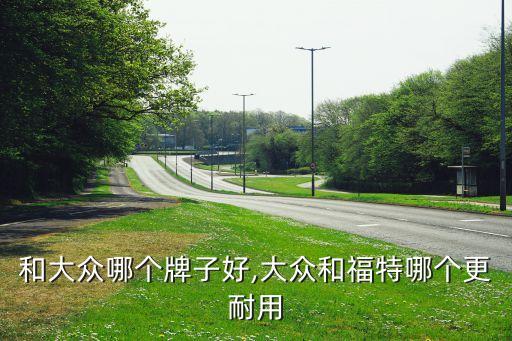 和大众哪个牌子好,大众和福特哪个更耐用