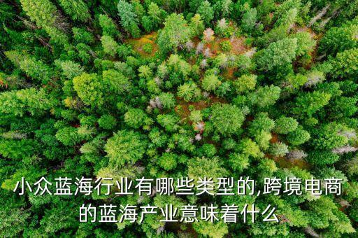 电商小众蓝海行业有哪些类型的,跨境电商的蓝海产业意味着什么?