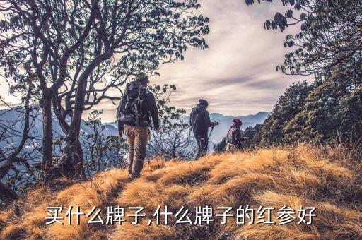 红参买什么牌子,什么牌子的红参好