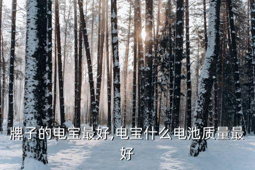 什么牌子的电宝最好,电宝什么电池质量最好?