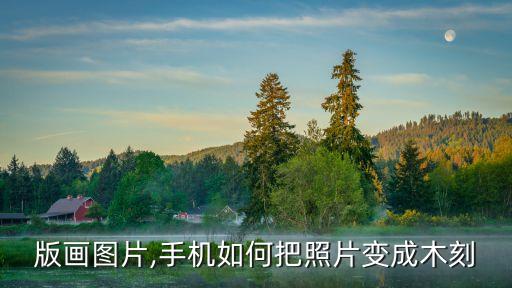 版画图片,手机如何把照片变成木刻