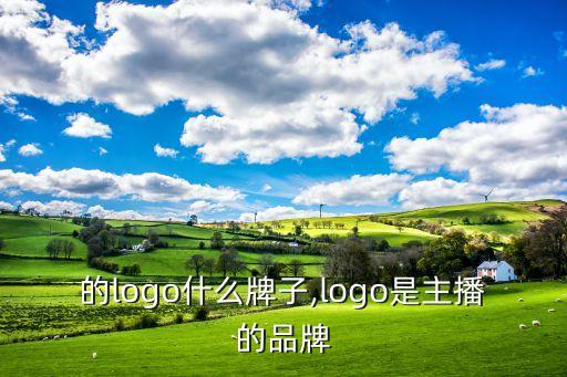的logo什么牌子,logo是主播的品牌