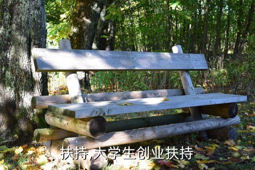 创业扶持,大学生创业扶持