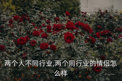 两个人不同行业,两个同行业的情侣怎么样