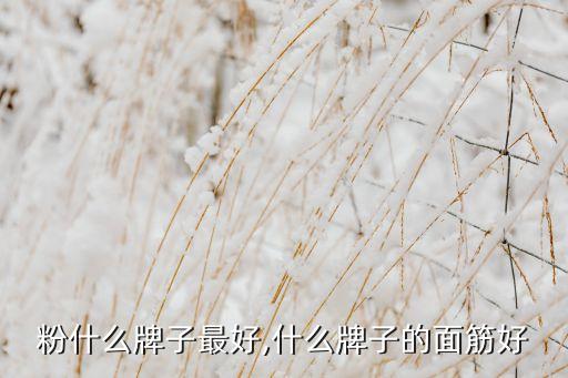 粉什么牌子最好,什么牌子的面筋好
