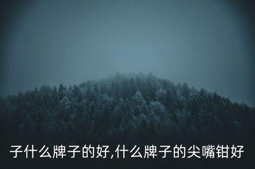 台钳子什么牌子的好,什么牌子的尖嘴钳好?