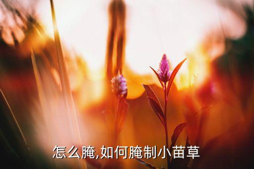 秧草怎么腌,如何腌制小苗草