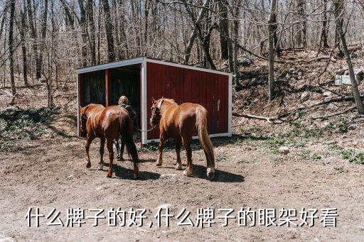 什么牌子的好,什么牌子的眼架好看