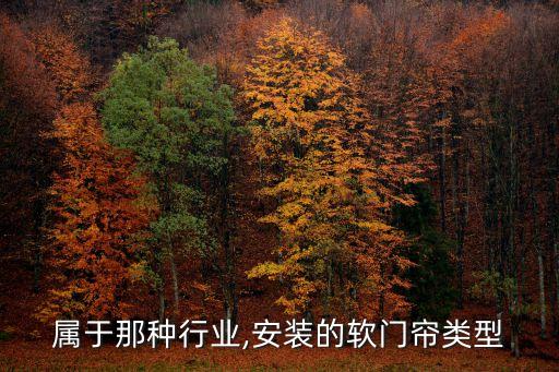属于那种行业,安装的软门帘类型