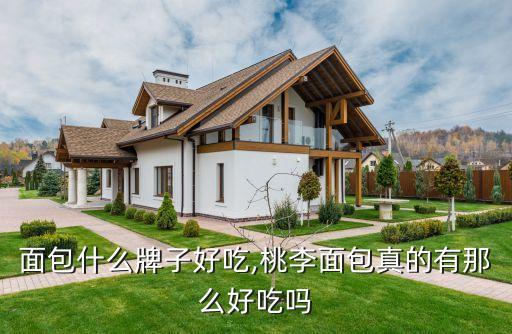 紫米面包什么牌子好吃,桃李面包真的有那么好吃吗?