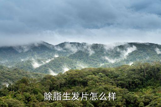 除脂生发片怎么样