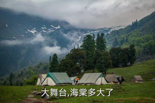 神州大舞台,海棠多大了?