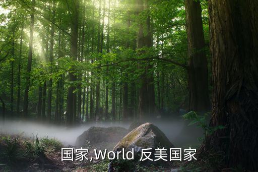 国家,World 反美国家