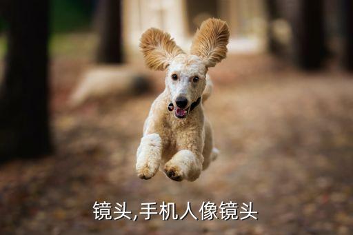 镜头,手机人像镜头