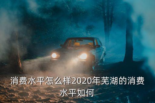 消费水平怎么样2020年芜湖的消费水平如何