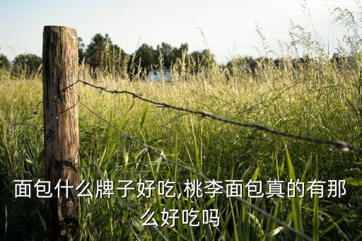 面包什么牌子好吃,桃李面包真的有那么好吃吗