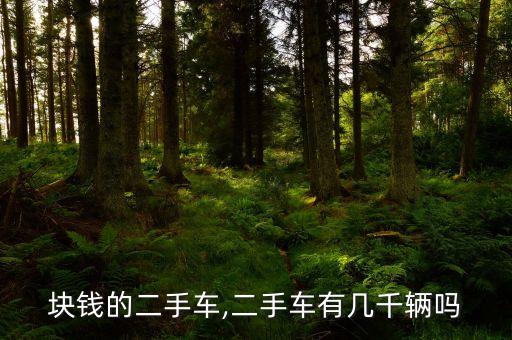 几千块钱的二手车,二手车有几千辆吗?