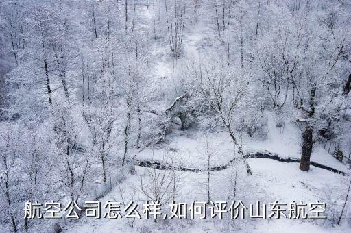 航空公司怎么样,如何评价山东航空