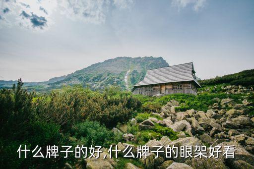 什么牌子的好,什么牌子的眼架好看
