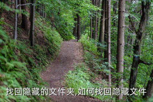 怎么找回隐藏的文件夹,如何找回隐藏文件?