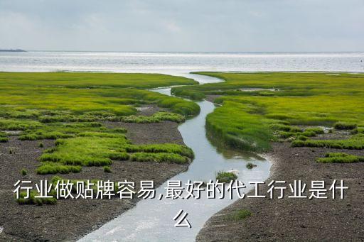 哪个行业做贴牌容易,最好的代工行业是什么?