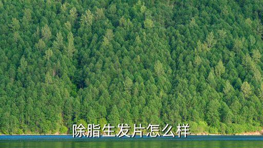 除脂生发片怎么样